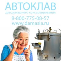 Газовый автоклав