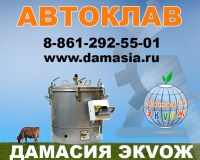 Газовый автоклав