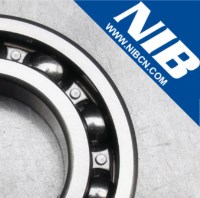 Shandong NIB Bearing Co., Ltd.