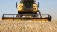 Россия планирует поставить в страны БРИКС 5 млн тонн зерна