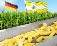 Инвесторы из Германии построят кукурузокалибровочный завод на Ставрополье