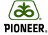 Семена подсолнечника Пионер ПР64Ф66 (PR64F66)