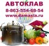 Газовый автоклав цена