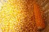Семена кукурузы Краснодарская 291 (раннеспелый гибрид)